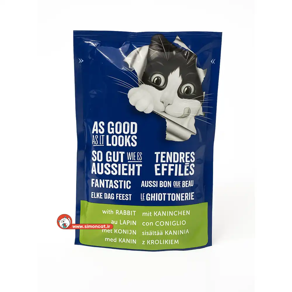 پوچ گربه فلیکس