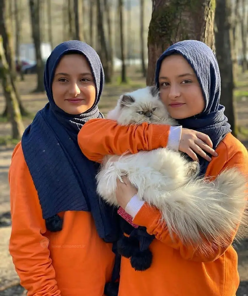 گربه سارا و نیکا فرقانی
