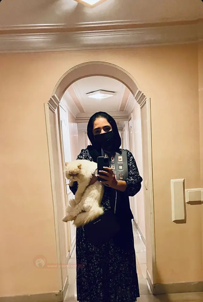 گربه نرگس محمدی