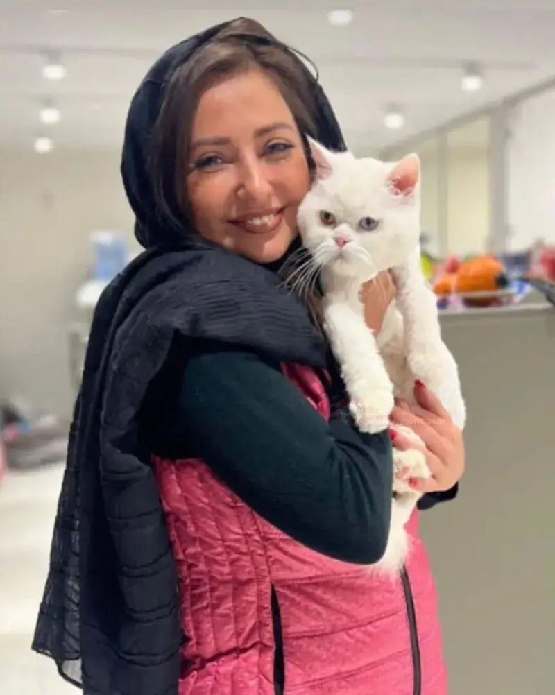 گربه نفیسه روشن