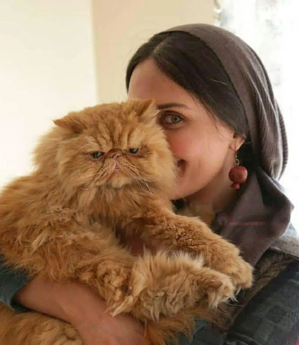 گربه ی الناز شاکر دوست