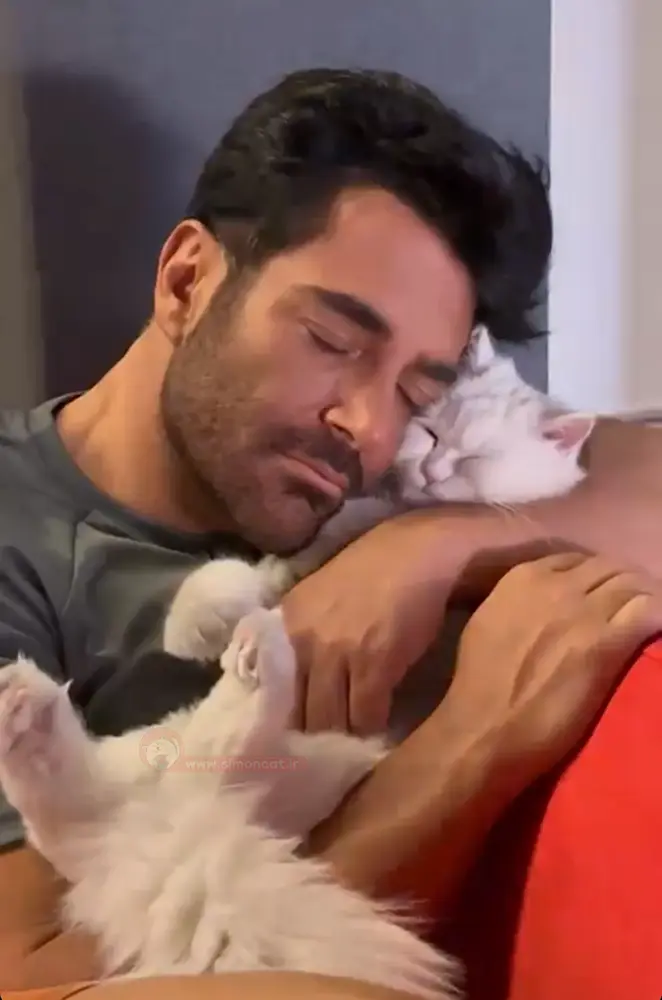 گربه ی رضا گلزار