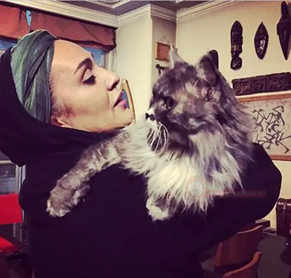 گربه ی رویا نونهالی