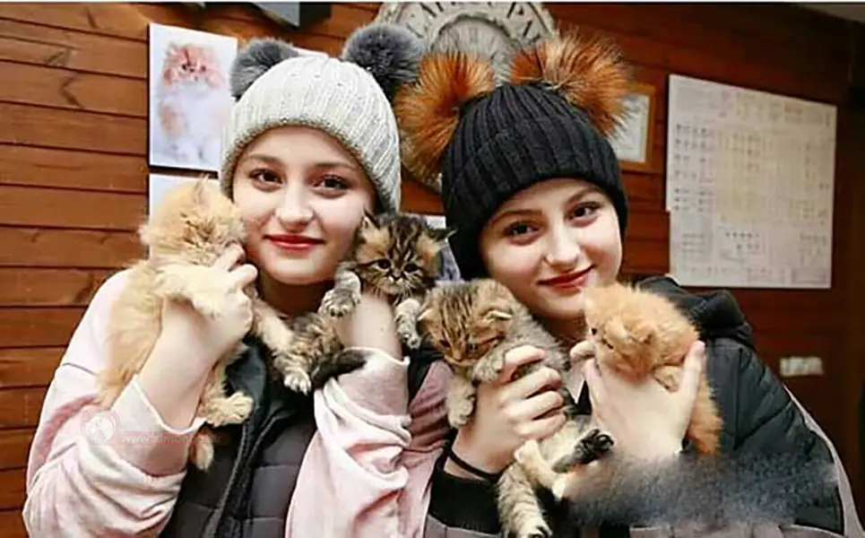 گربه ی سارا و نیکا فرقانی