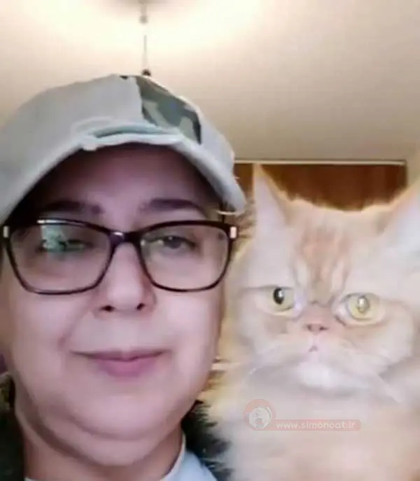 گربه ی مازیار لرستانی