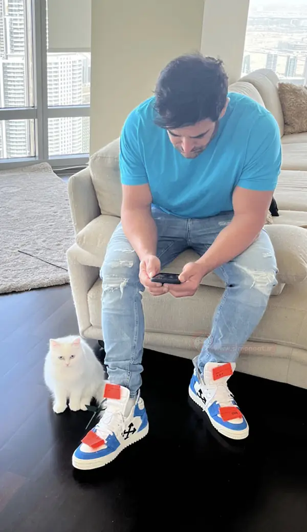 گربه ی محمد رضا گلزار