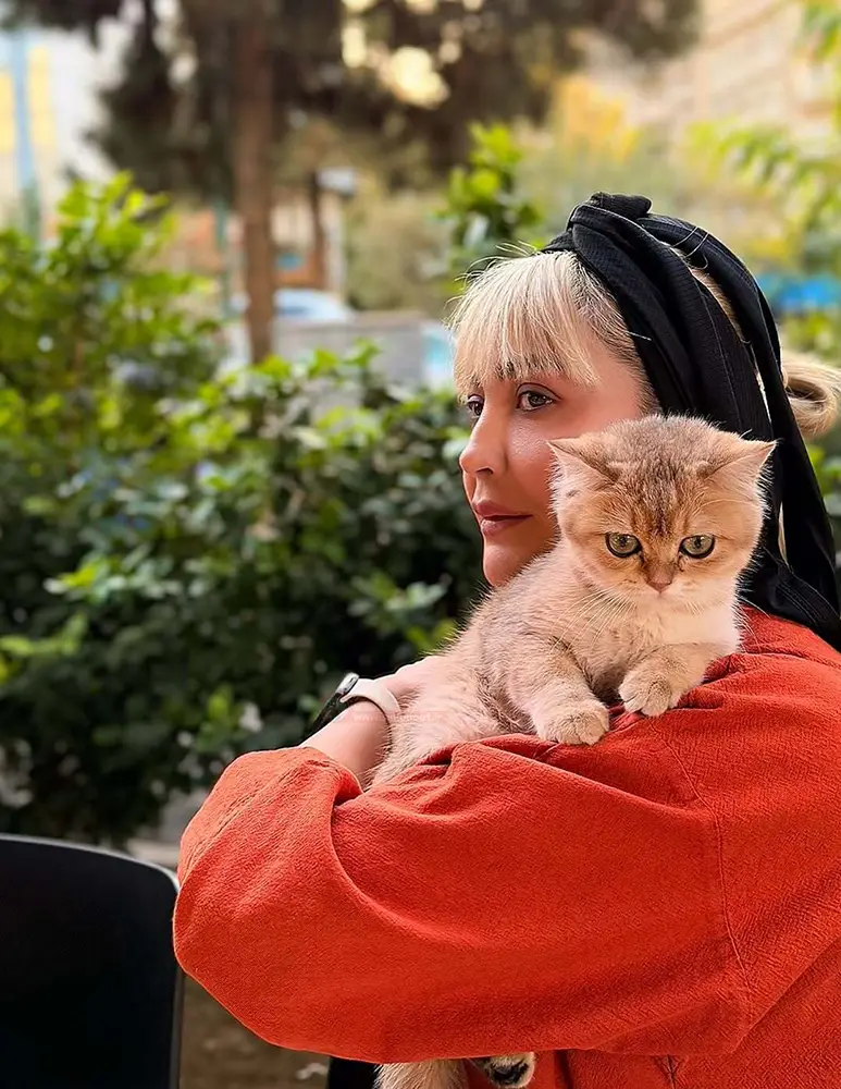 گربه ی مریم معصومی