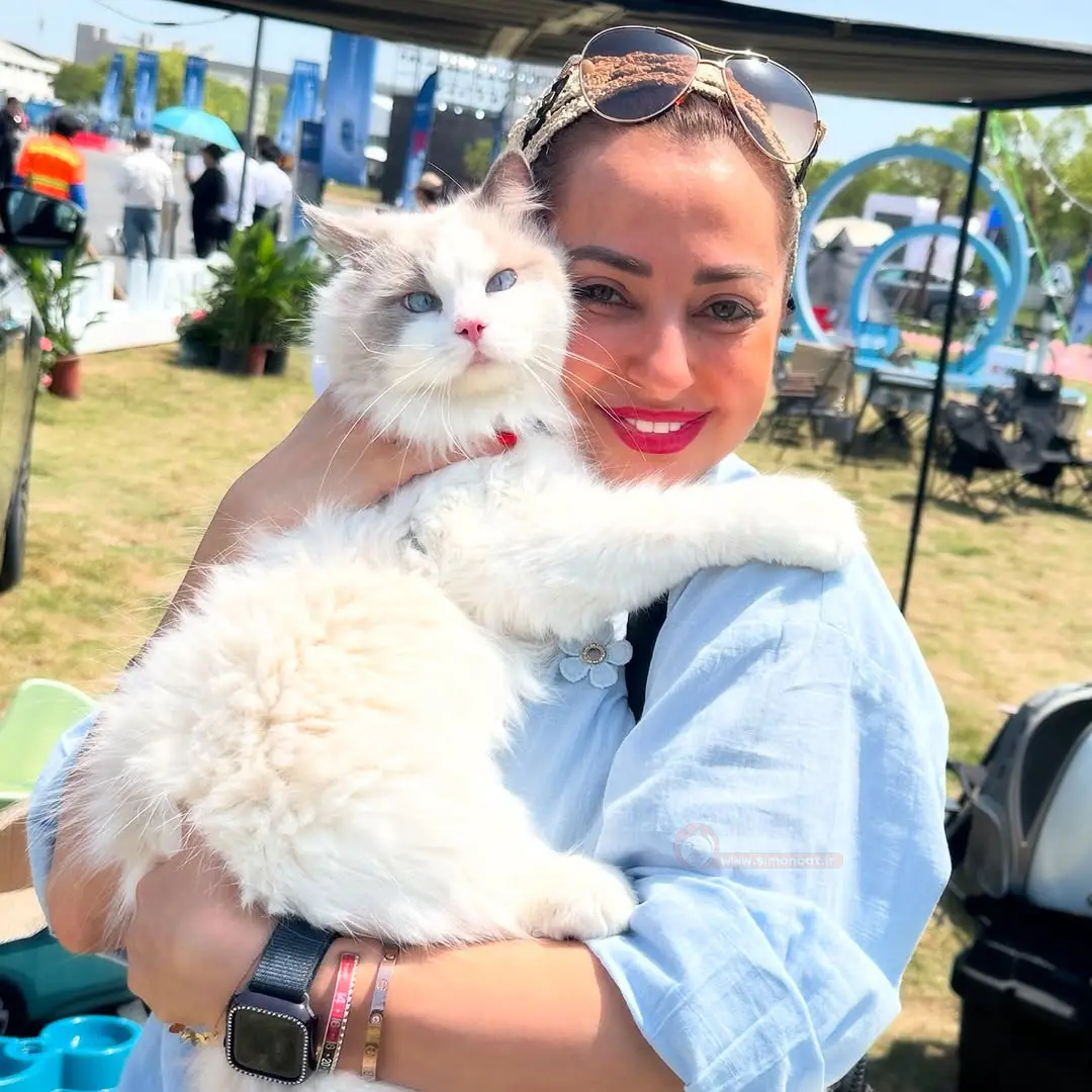 گربه ی نفیسه روشن