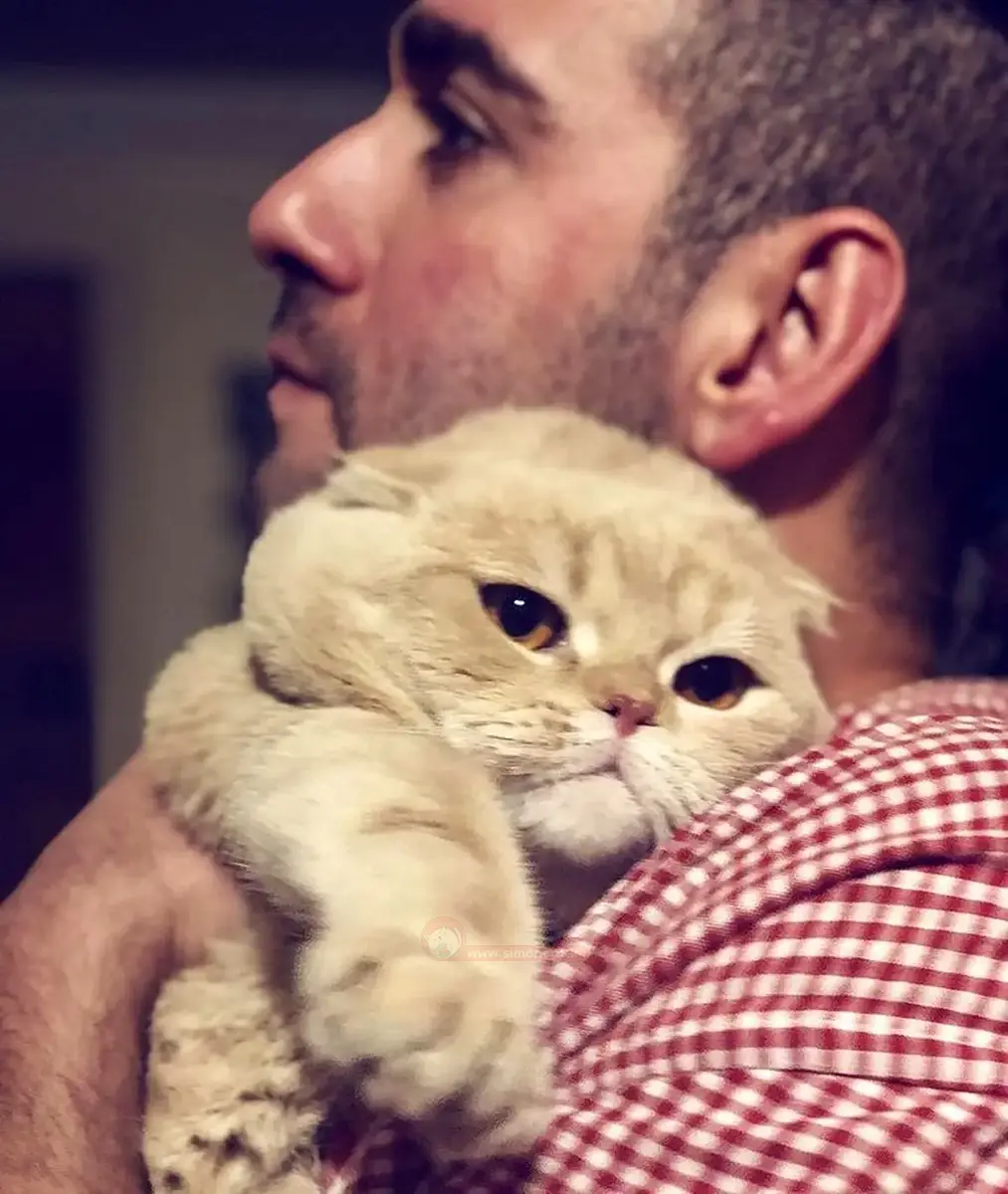 گربه ی نیما شعبانژاد