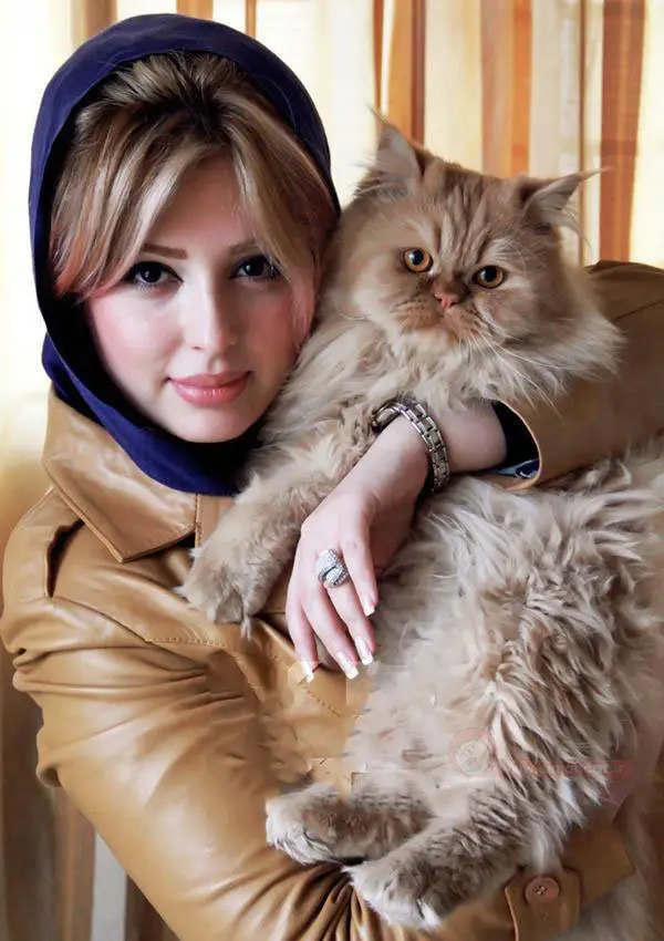 گربه ی نیوشا ضیغمی