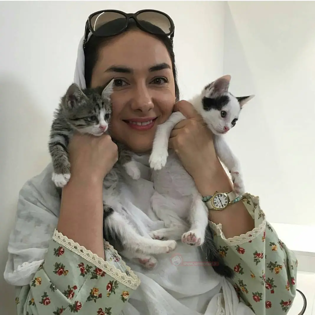 گربه ی هانیه توسلی