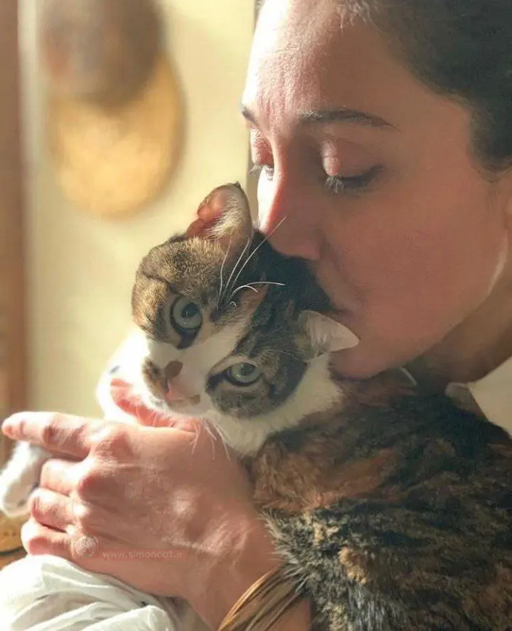 گربه ی هدیه تهرانی