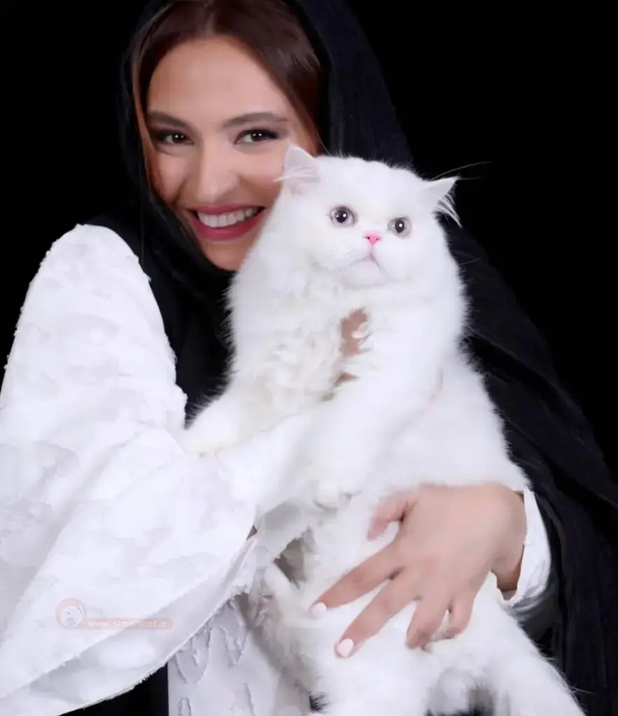 گربه ی گلاره عباسی