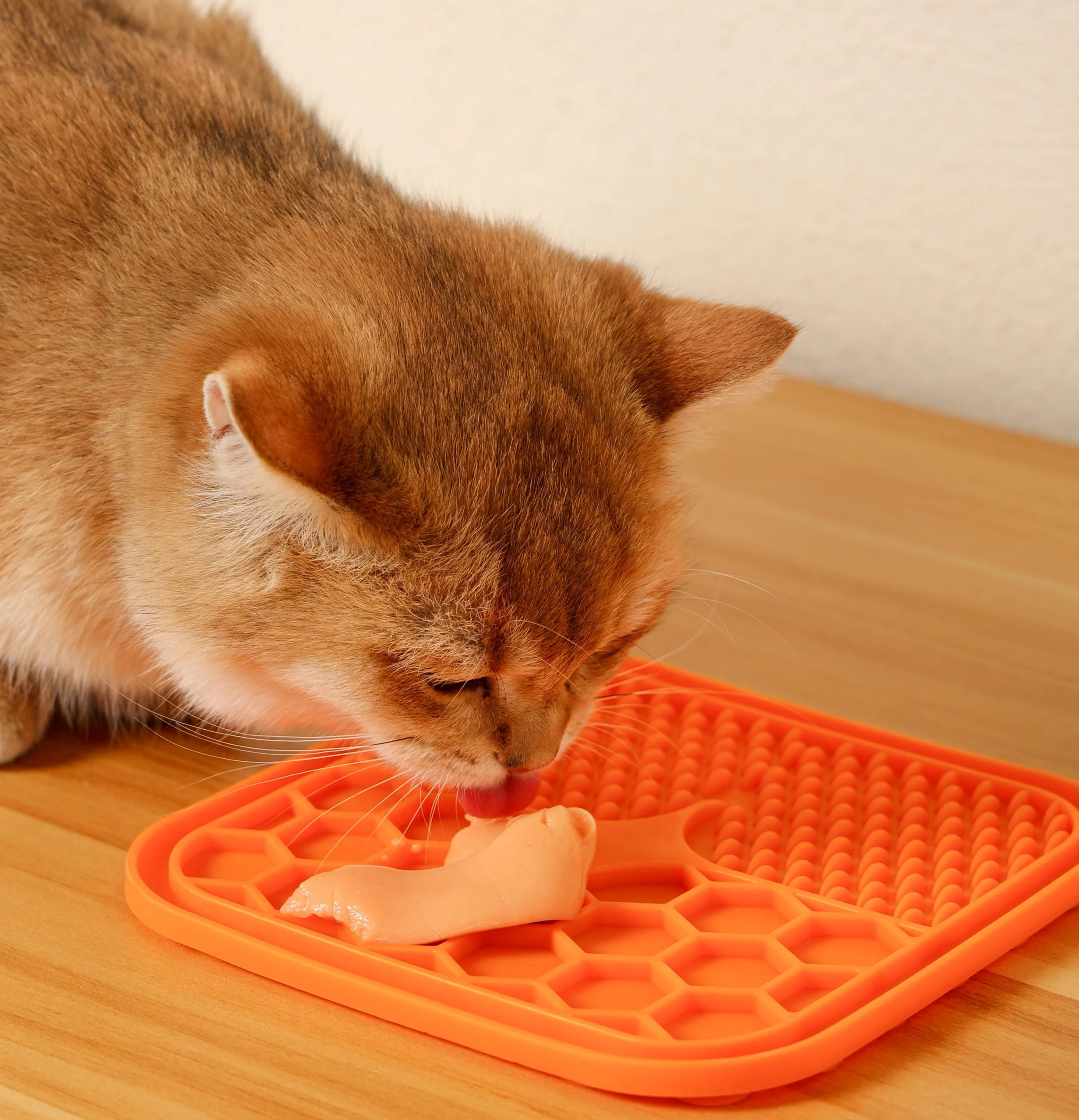 تشویقی ام پت