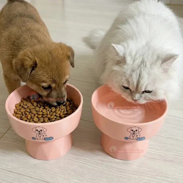سگ و گربه در حال خوردن اب و غذا در ظرف سرامیکی ژوانیت
