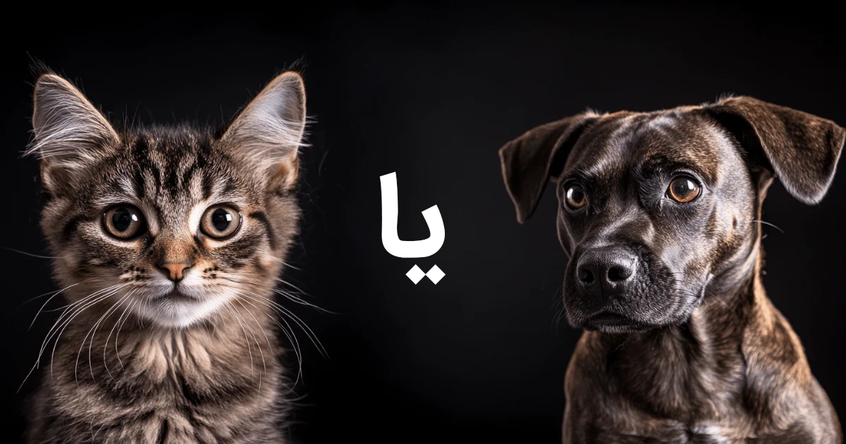 هوش سگ و گربه چقدره؟