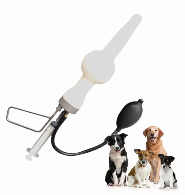 وسیله تلقیح سگ