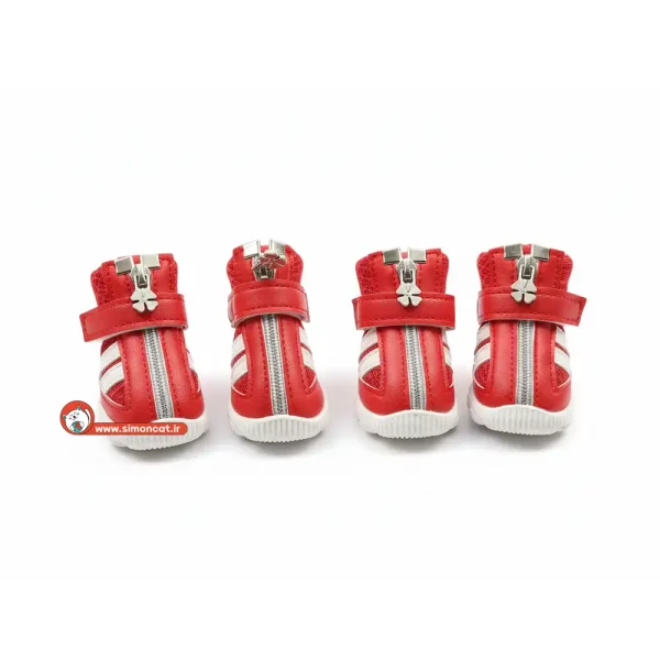 کتانی سگ و گربه