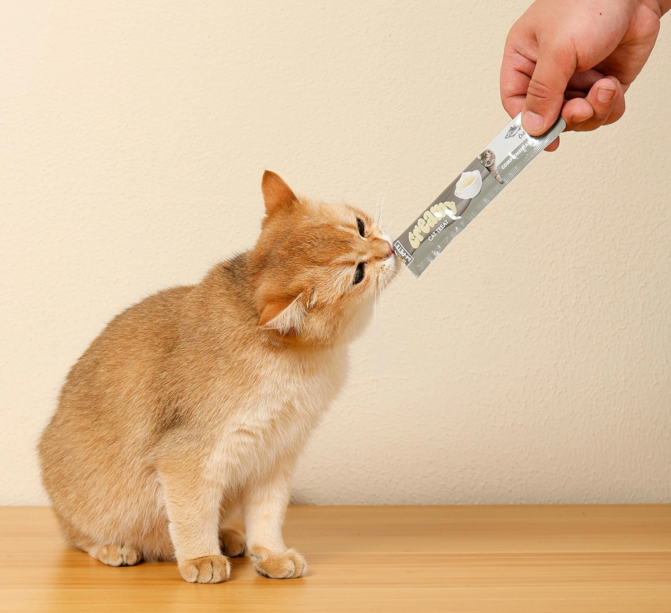 گربه در حال خوردن بستنی