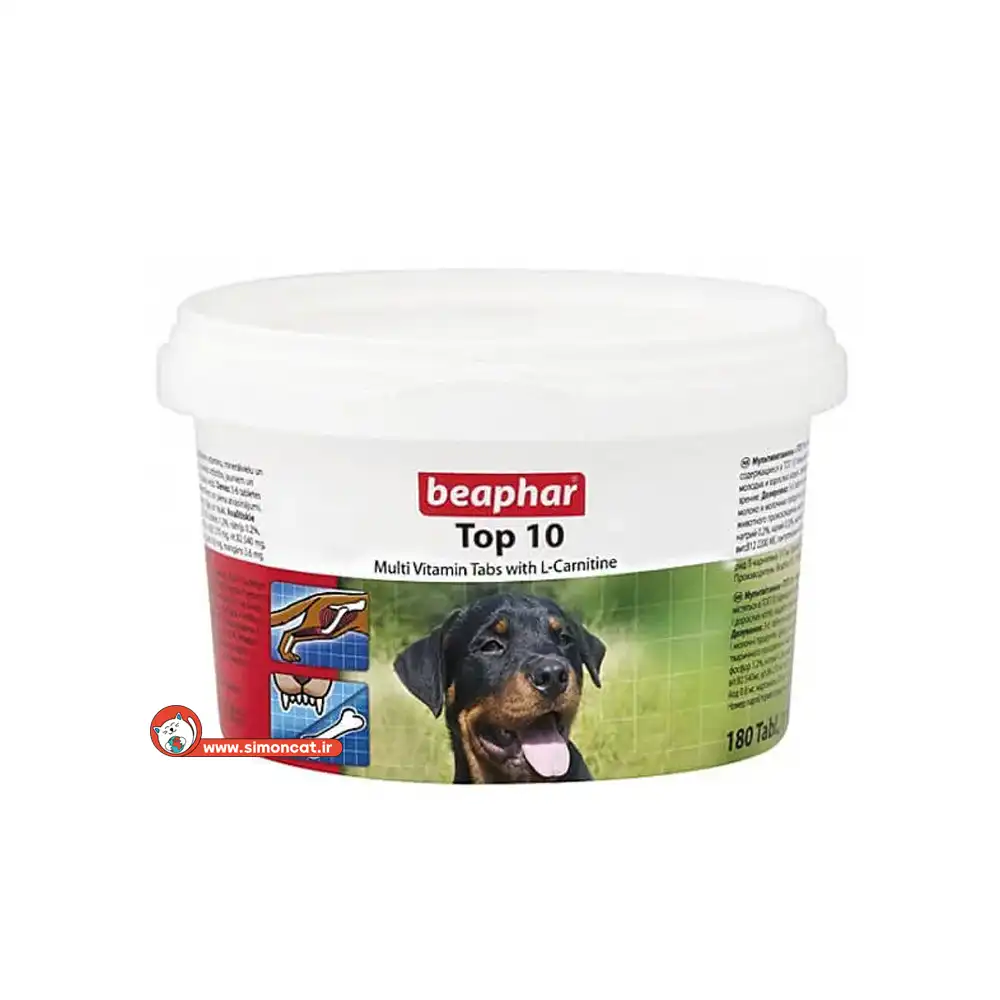 تاپ تن سگ تاپ تن سگ