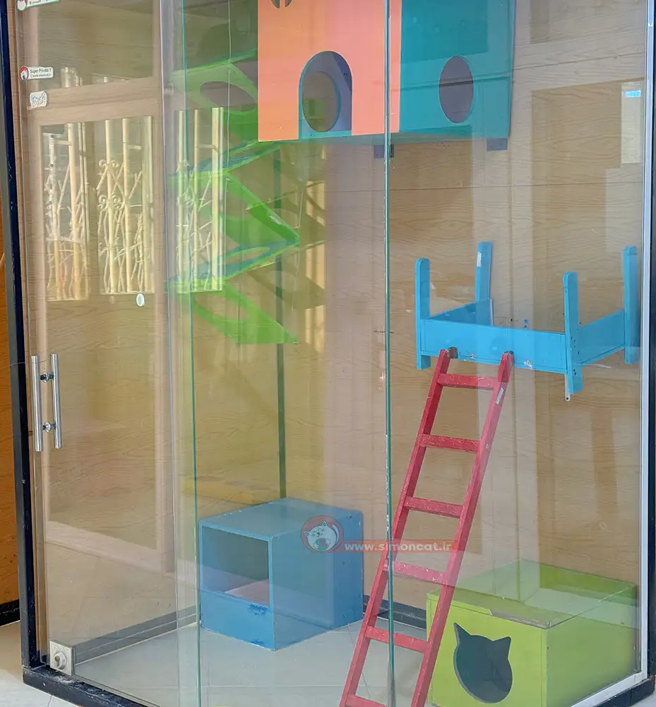 قیمت پانسیون گربه در تهران