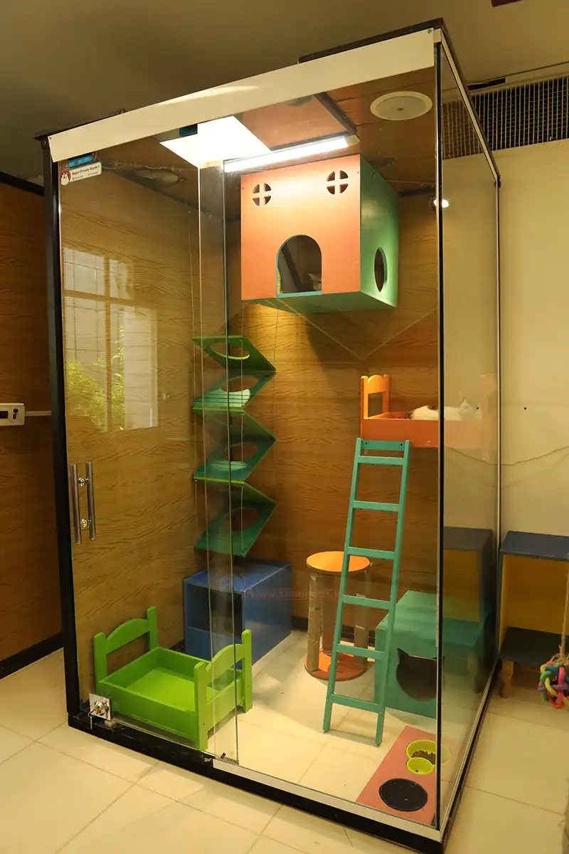 مهد و پانسیون حیوانات خانگی در تهران