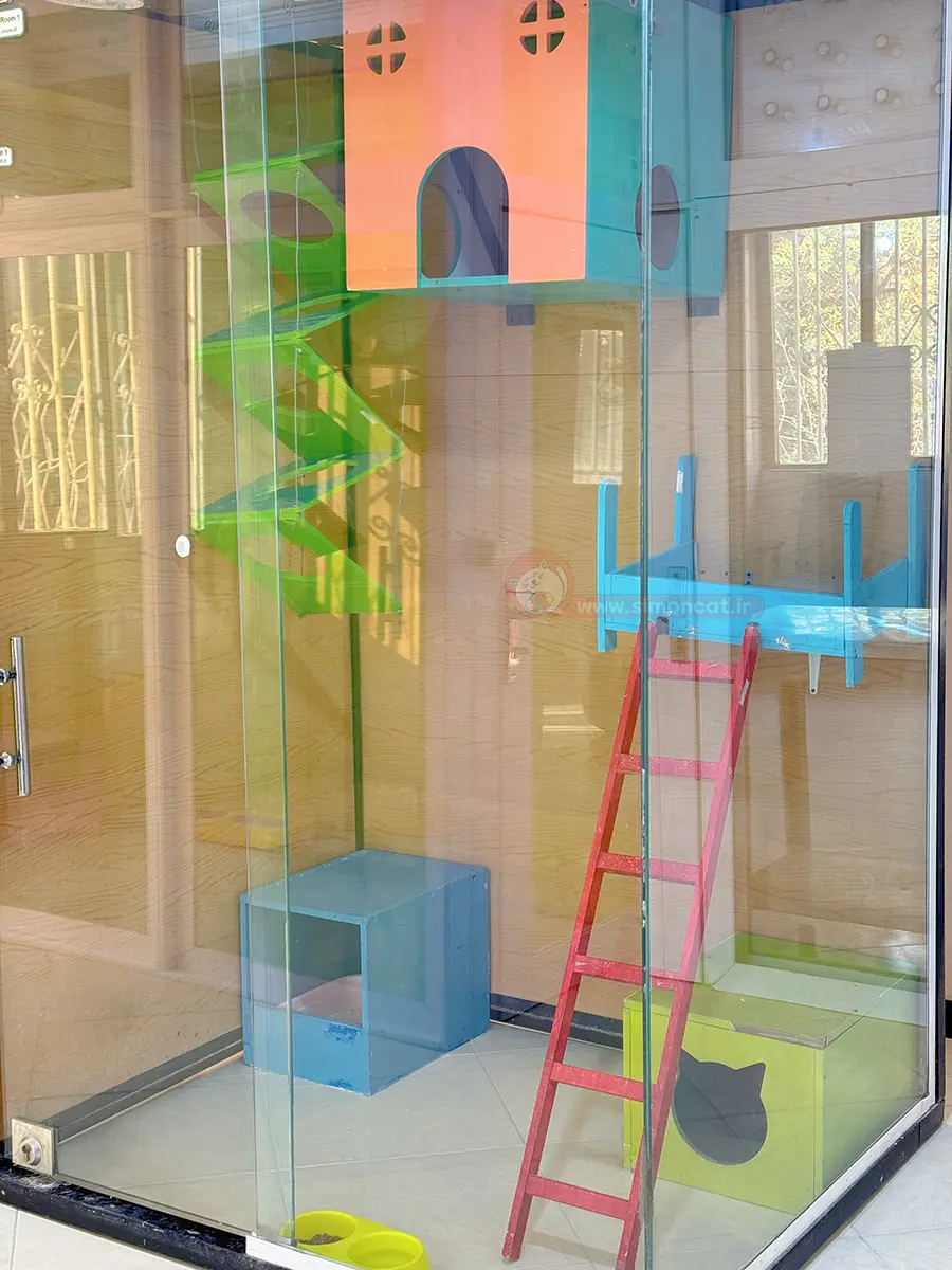 آدرس پانسیون گربه در تهران