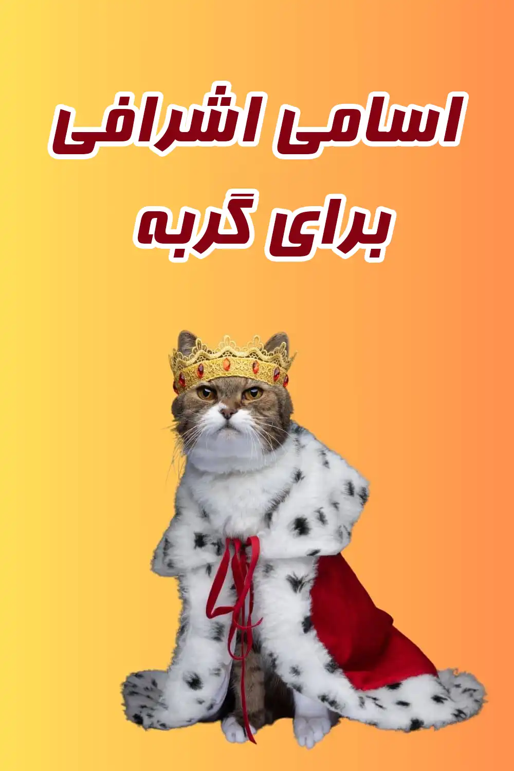 اسامی اشرافی برای گربه