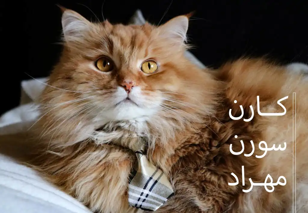 اسامی ایرانی نر