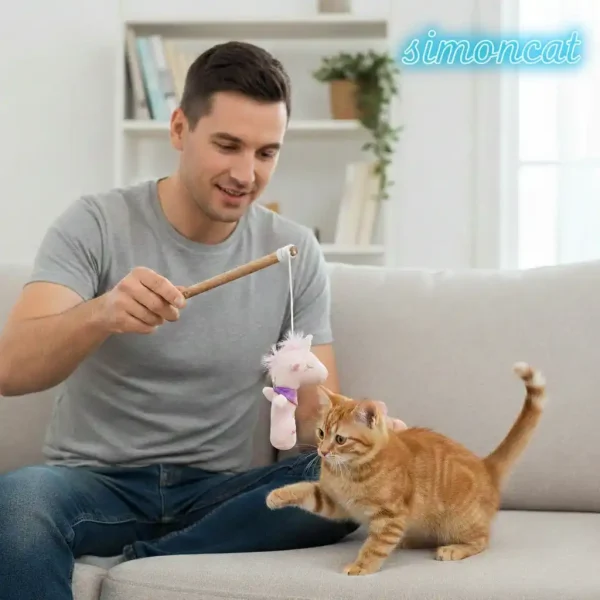 بازی با گربه خانگی