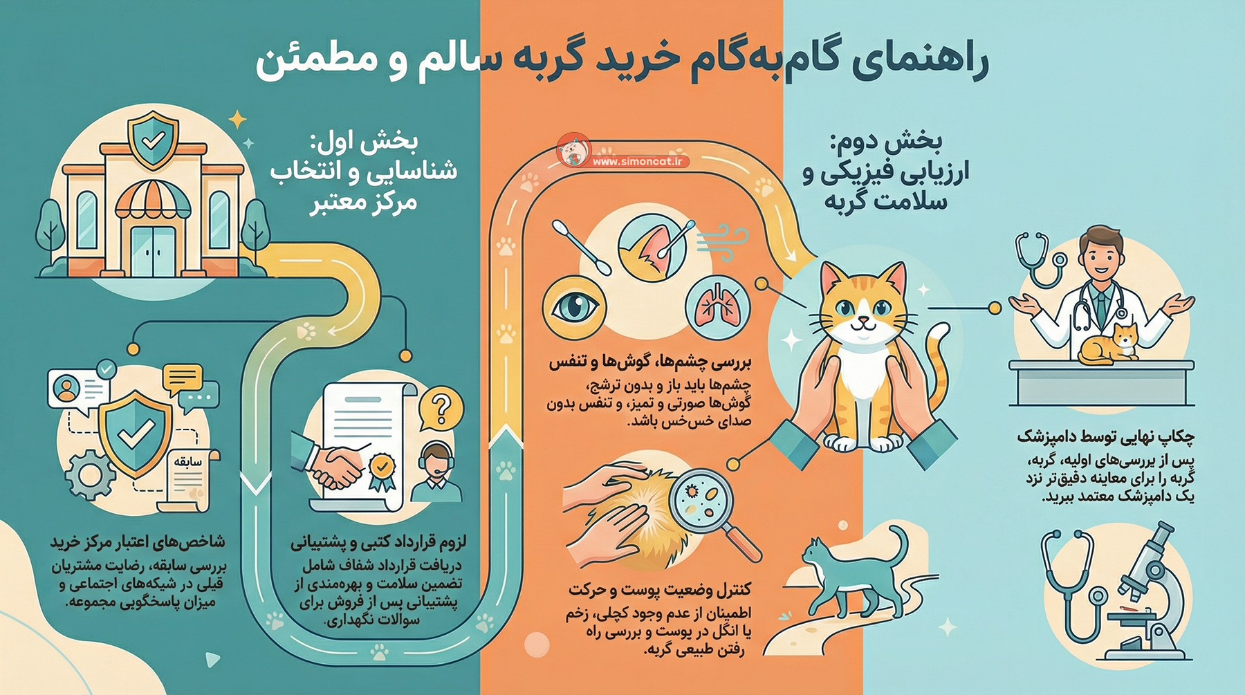 راهنمای خرید پرشین کت