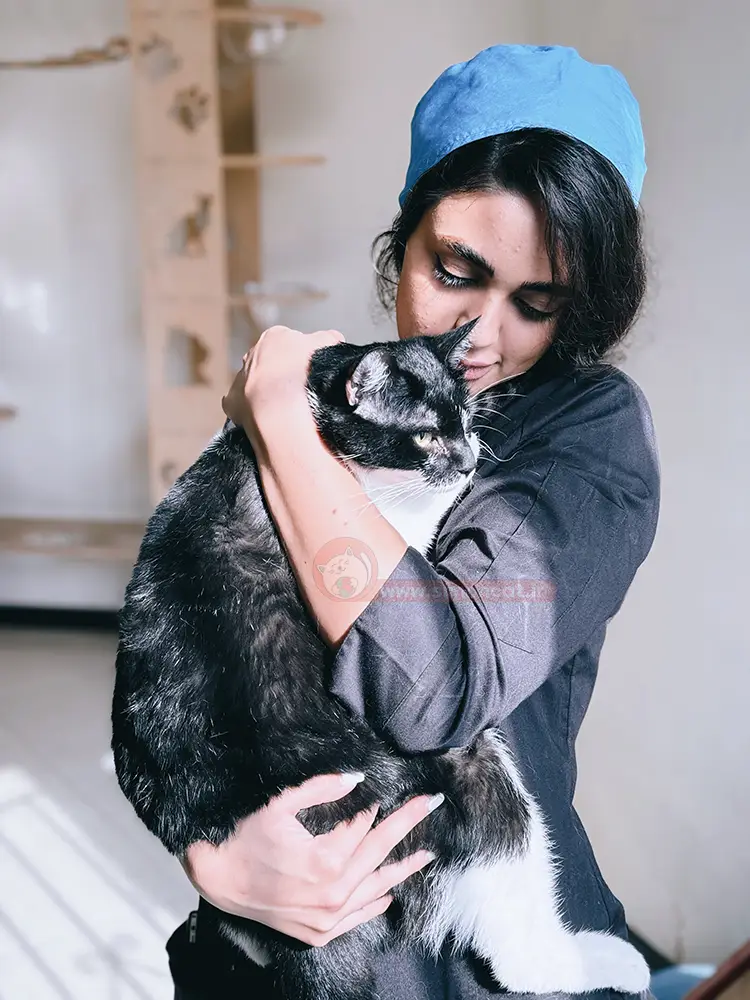 قیمت پانسیون گربه در تهران