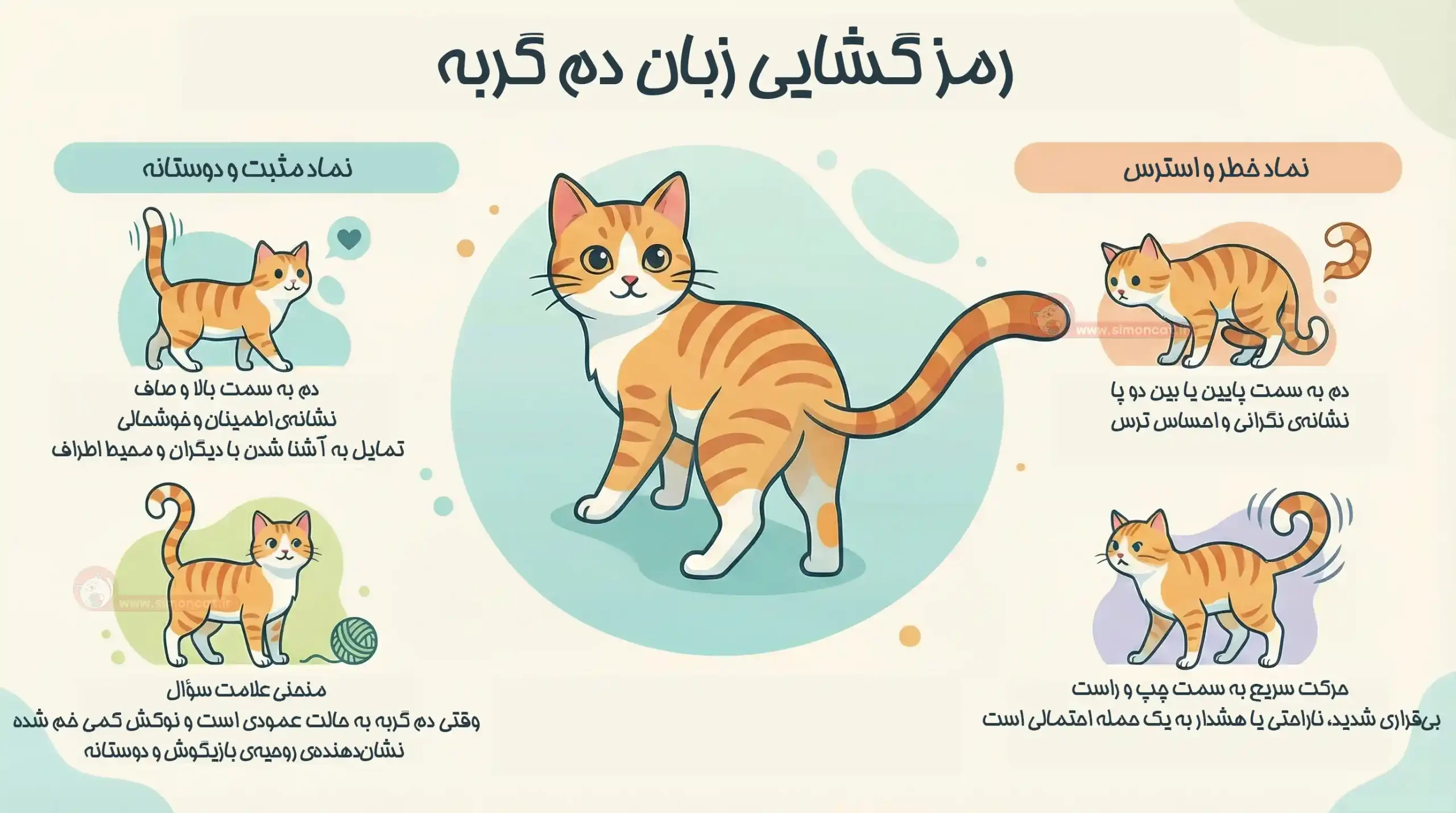 معنای حرکات دم گربه