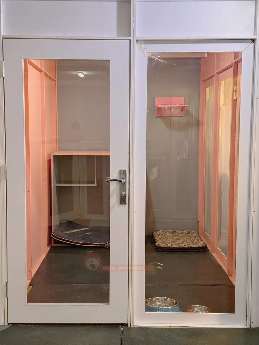 هزینه پانسیون گربه