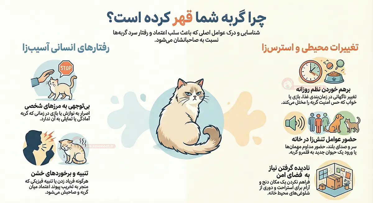 چرا گربه قهر میکند
