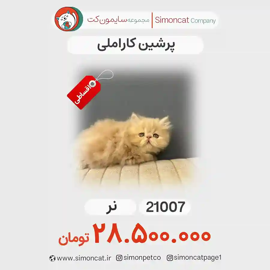 پرشین کاراملی کد 21007