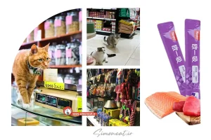 پت شاپ آنلاین خرید بستنی گربه