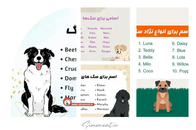 اسم سگ بهترین نام برای سگ‌ها